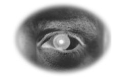 occhio