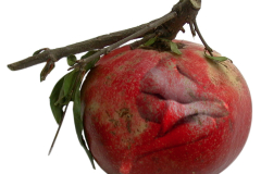 melograno