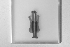 senza-titolo-O1