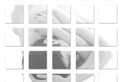 sezione 1