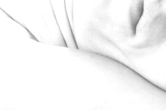 sezione15