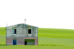 senza titolo