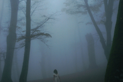 nebbia