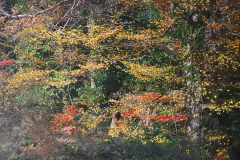 paesaggio-disegnato