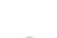 occhio