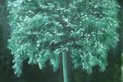 303DC0EC-E720-4B96-8263-4B8276F785C5