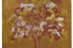 alberino-quad-chiaro2