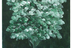 alberino-quad-verde4