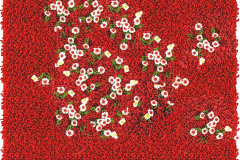 prato-rosso-1x1