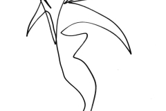 IMG_8159-30x43