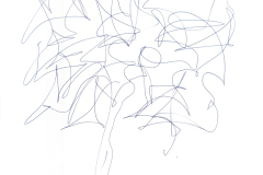 IMG_8171-42x30-penna