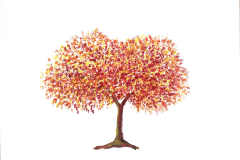 il mio albero