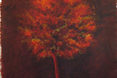 il mio albero