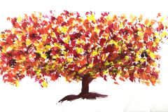 il mio albero