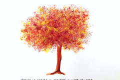 il mio albero