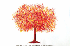 il mio albero