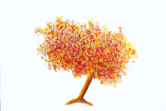 il mio albero