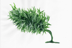 il mio albero
