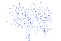il mio albero