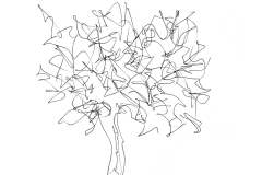 il mio albero