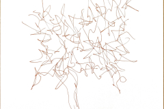 il mio albero