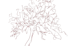 il mio albero
