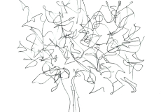 il mio albero