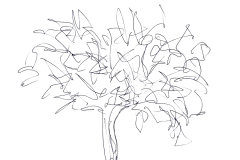 il mio albero