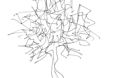 il mio albero