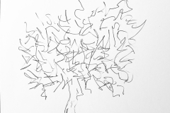 il mio albero