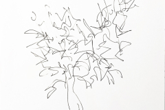 il mio albero