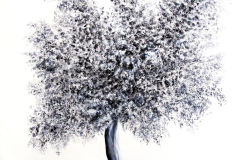 il mio albero
