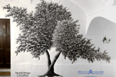 il mio albero al Castello di Rivara
