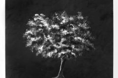 il-mio-albero-180x180