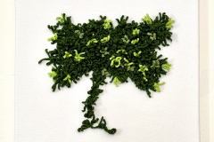 IMG_5716-2