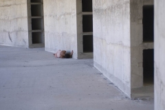 untitled 2010