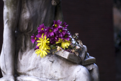 fiore0005