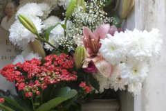 fiore0012