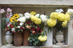 fiore0013