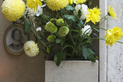 fiore0018
