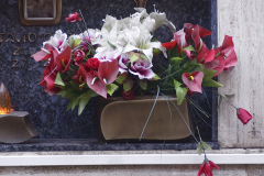 fiore0021