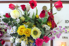 fiore4856
