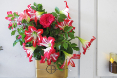 fiore6311