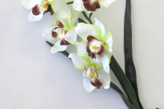 fiore6312