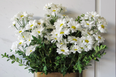 fiore6314