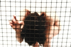 untitled 2002